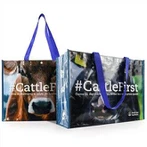 Laminated Non Woven Polypropylene Bags